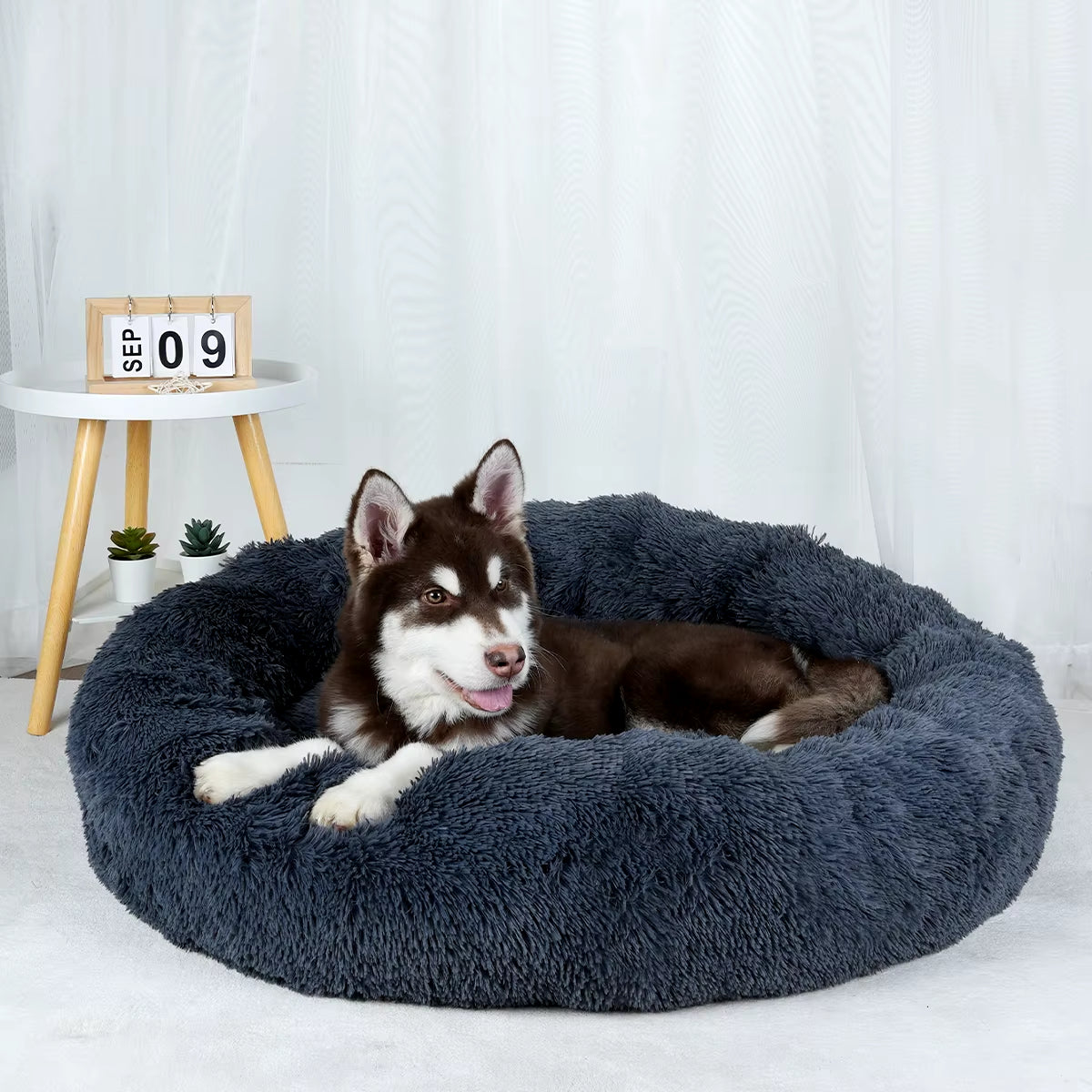 Plush Dog Bed Large Beds for Dogs Washable Medium Small Basket Accessorys Pet Furniture Fluffy Sofa Puppy Kennel Accessories Mat