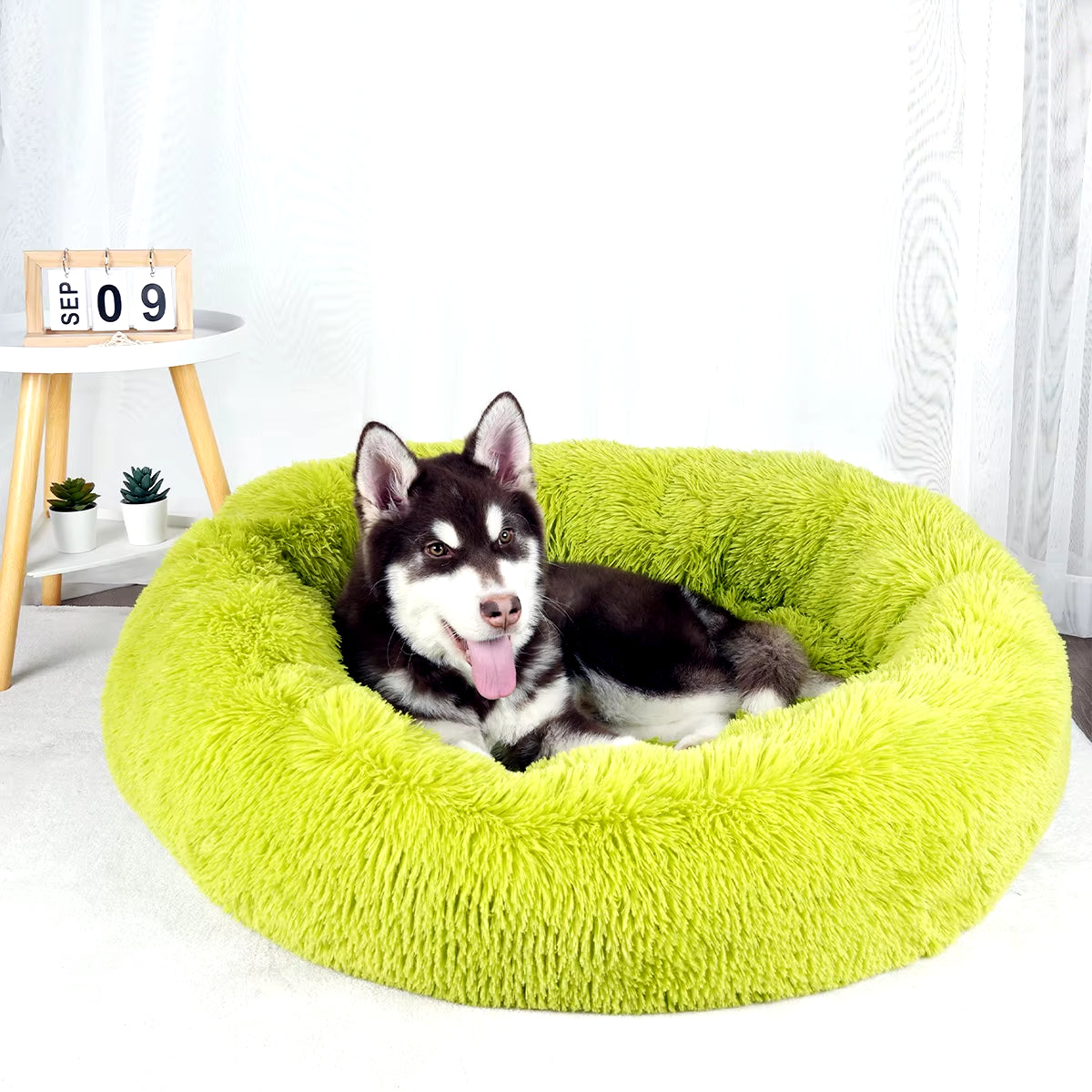 Plush Dog Bed Large Beds for Dogs Washable Medium Small Basket Accessorys Pet Furniture Fluffy Sofa Puppy Kennel Accessories Mat