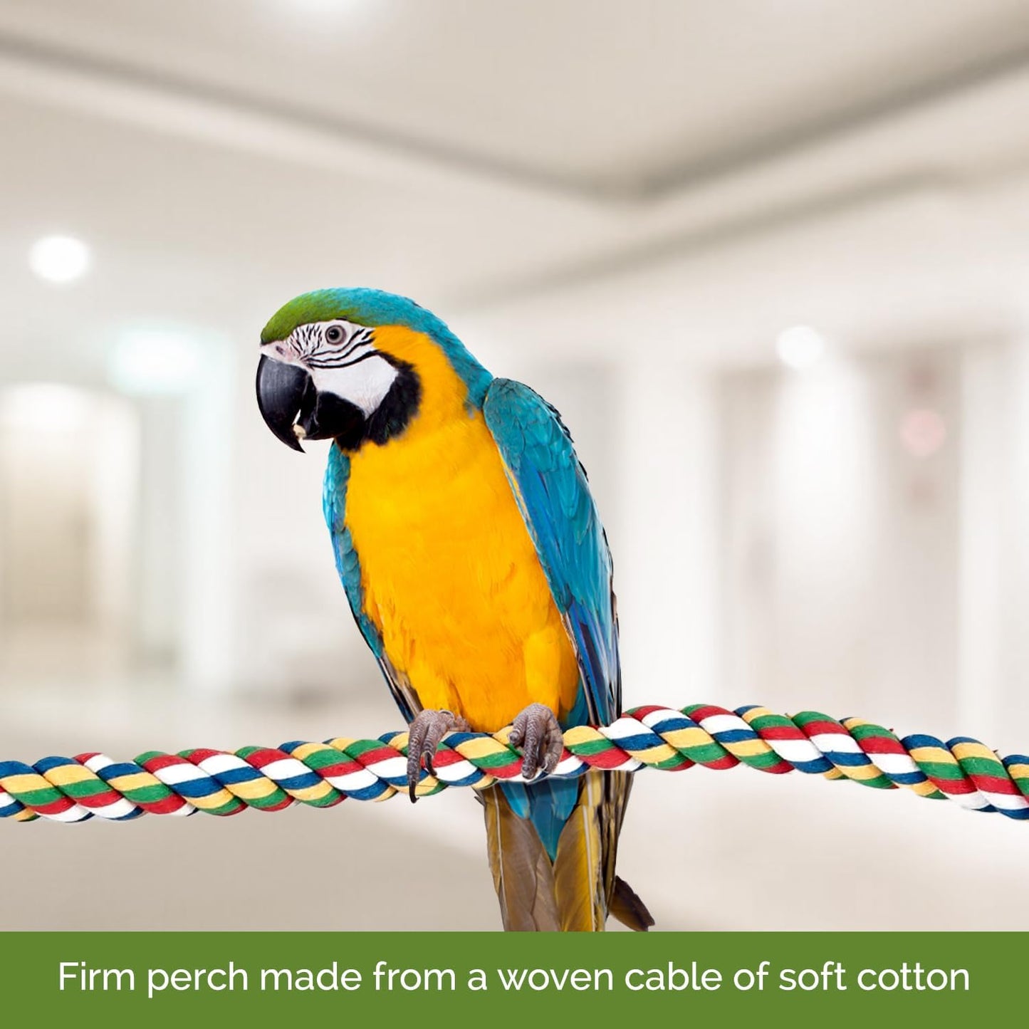 Pet Comfy Perch for Birds Flexible Multi-Color Rope, Medium - 32" Length