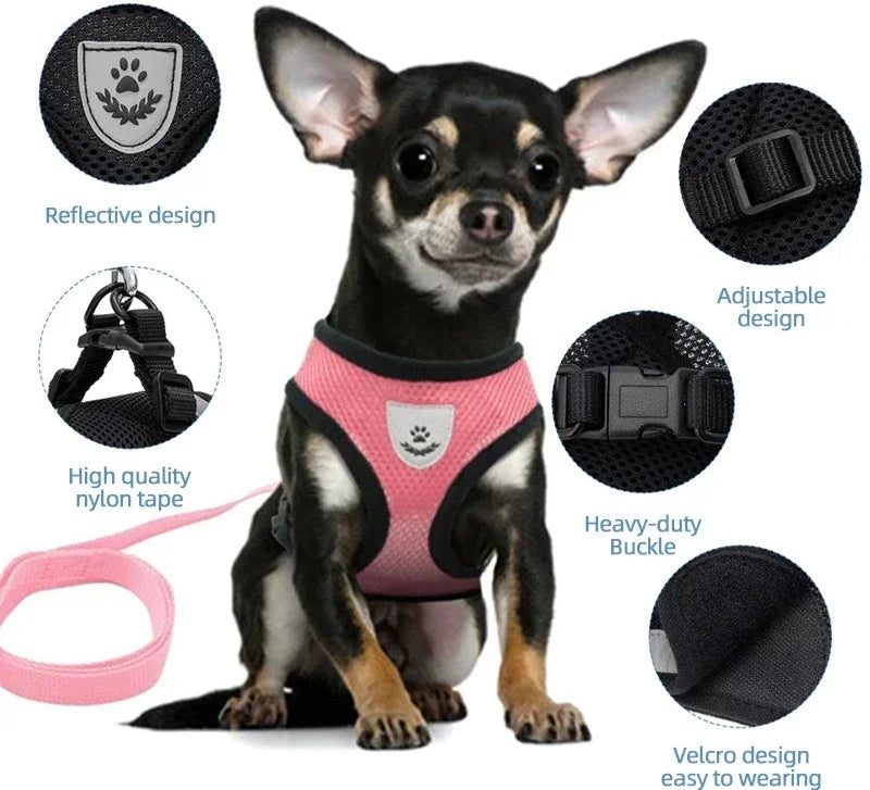 Cat Harness Vest Walking Lead Leash for Puppy Dogs Collar Polyester Adjustable Mesh Dog Harness for Small Medium Pet Accessories